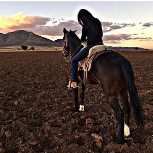 Meet your Posher, Leyva